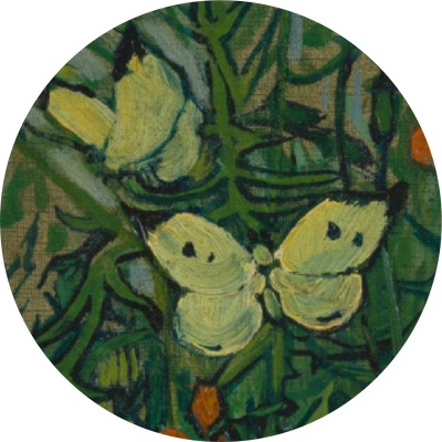 The Painterly Texture