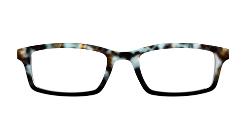The Academic Tortoise - Pair Eyewear