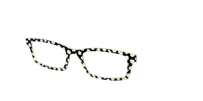 The Black Daisy - Angle Top Thumbnail - Pair Eyewear