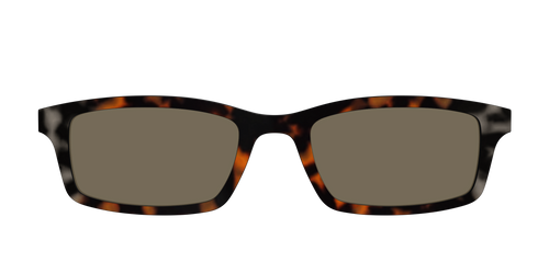 The Polarized Gray & Amber Tortoise Sun Top - Pair Eyewear