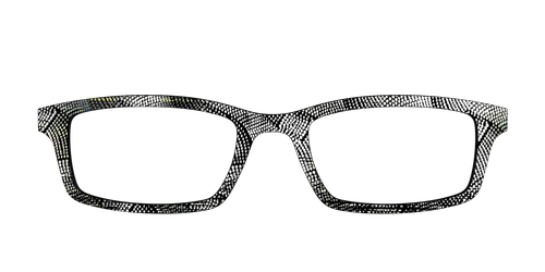 The Silver Iridescent Soundwaves - Pair Eyewear