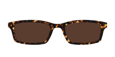 The Polarized Tortoise Sun Top - Front Top Thumbnail - Pair Eyewear