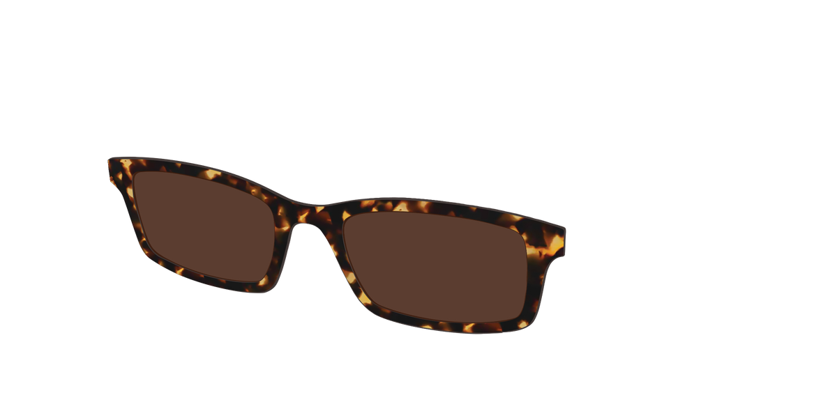 The Polarized Tortoise Sun Top - Angle Top Image - Pair Eyewear