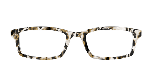 The Wrought Iron Tortoise - Pair Eyewear