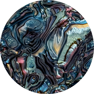 The Thistle Pearl Shell