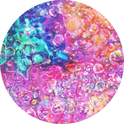The Thistle Pearl Shell