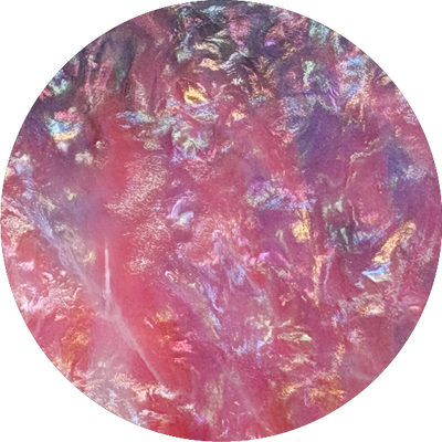 The Thistle Pearl Shell