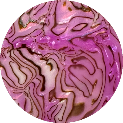 The Thistle Pearl Shell