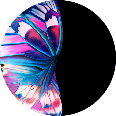 The Pearlescent Stripe Split