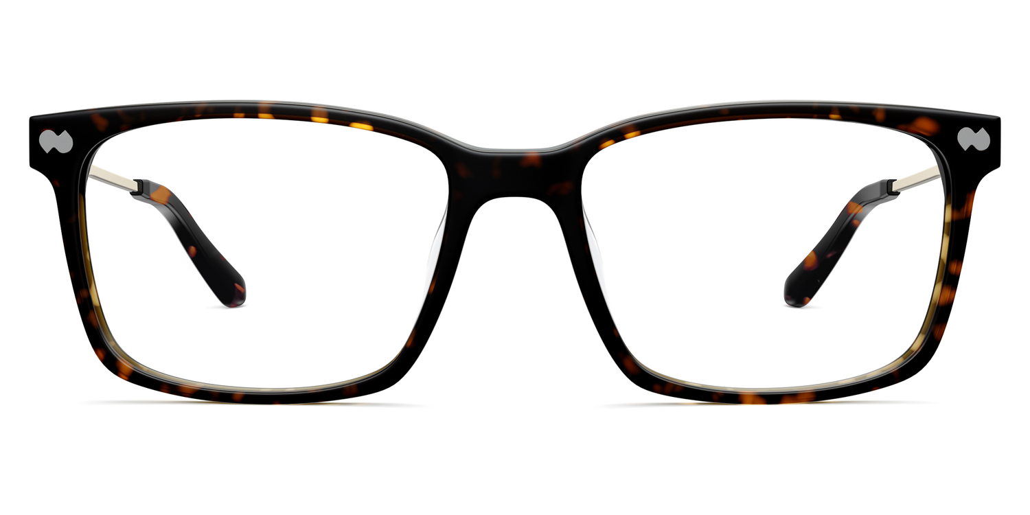 Tortoise Gold Metal