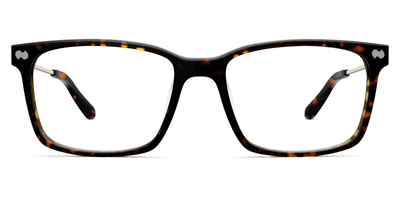 Tortoise Gold Metal