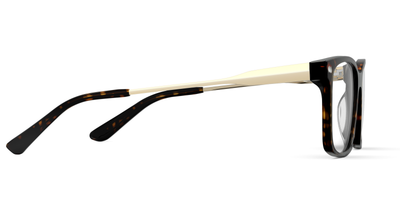 Tortoise Gold Metal