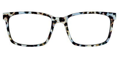 The Galaxy