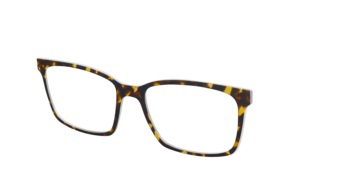 The Tortoise - Angle Top Image - Pair Eyewear