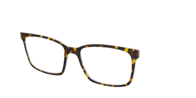 The Tortoise - Angle Top Thumbnail - Pair Eyewear