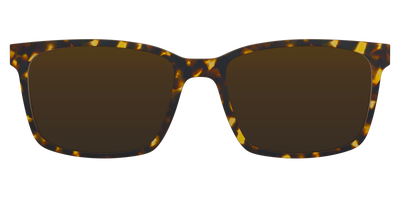 The Polarized Tortoise Sun Top - Front Top Thumbnail - Pair Eyewear