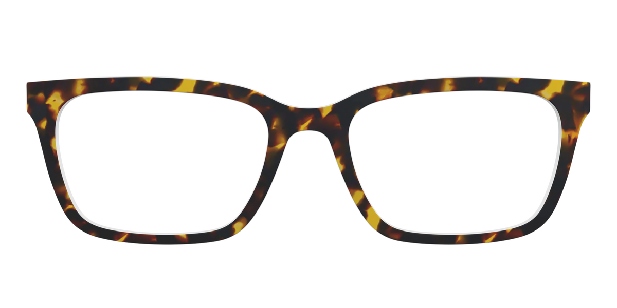The Tortoise - Front Top Image - Pair Eyewear