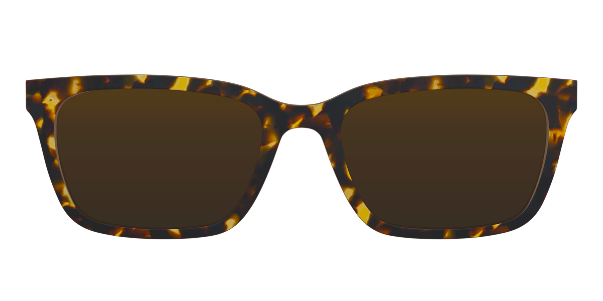 The Polarized Tortoise Sun Top - Front Top Image - Pair Eyewear