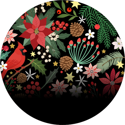 The Snowglobe