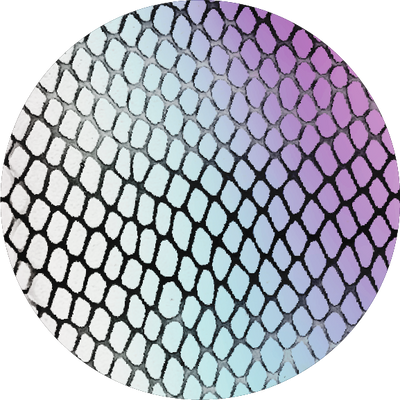The Iridescent Serpent