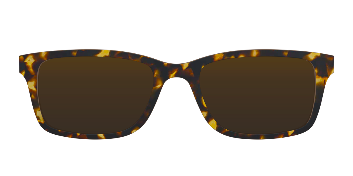 The Polarized Tortoise Sun Top - Front Top Image - Pair Eyewear