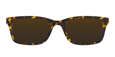 The Polarized Tortoise Sun Top - Front Top Thumbnail - Pair Eyewear