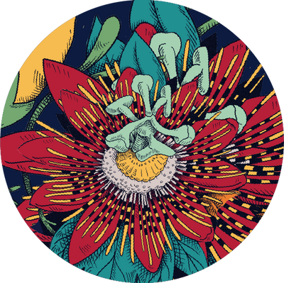 The Bloom Split