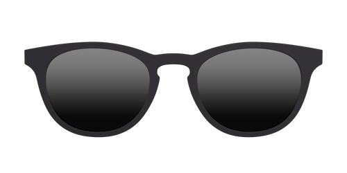 The Polarized Black Sun Top - Pair Eyewear