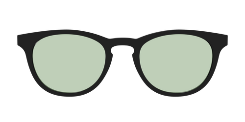 The Black With Sage Green lens - Pair Eyewear