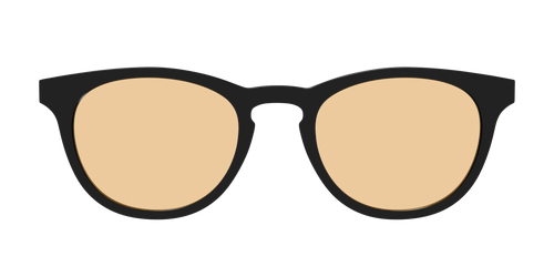 The Black With Umber Brown lens - Pair Eyewear