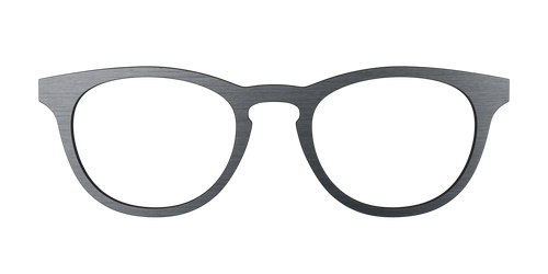 The Brushed Nickel - Pair Eyewear