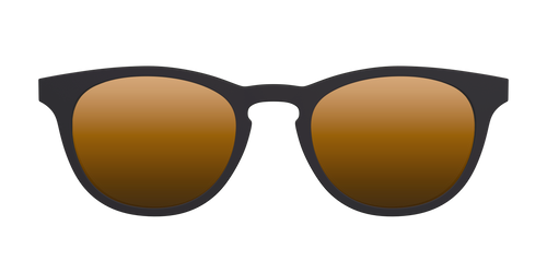 The Polarized Gold Reflective Sun Top - Pair Eyewear