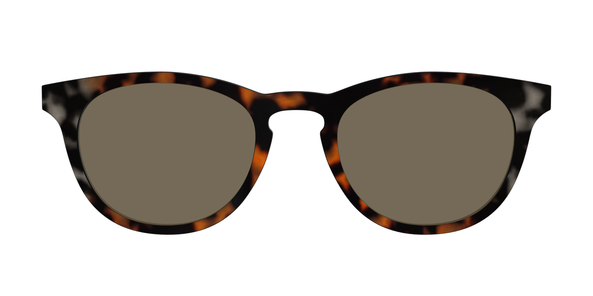 The Polarized Gray & Amber Tortoise Sun Top - Front Top Image - Pair Eyewear