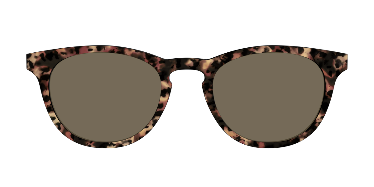 The Polarized Sienna Tortoise Sun Top - Front Top Image - Pair Eyewear