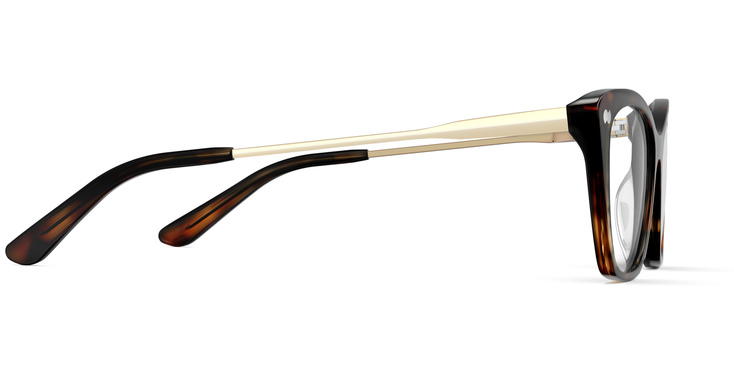 Tortoise Acetate Gold Metal