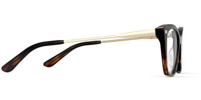 Tortoise Acetate Gold Metal