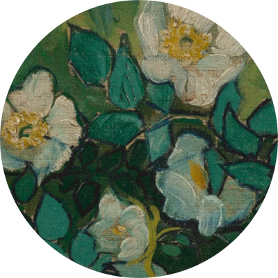 The Painterly Texture