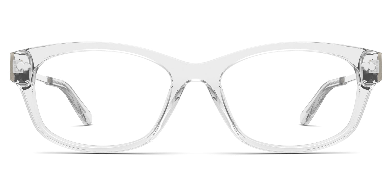 Crystal Clear Acetate Silver Metal