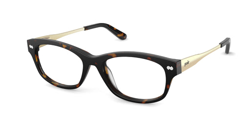 Tortoise Acetate Gold Metal