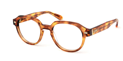Amber Tortoise with Gold