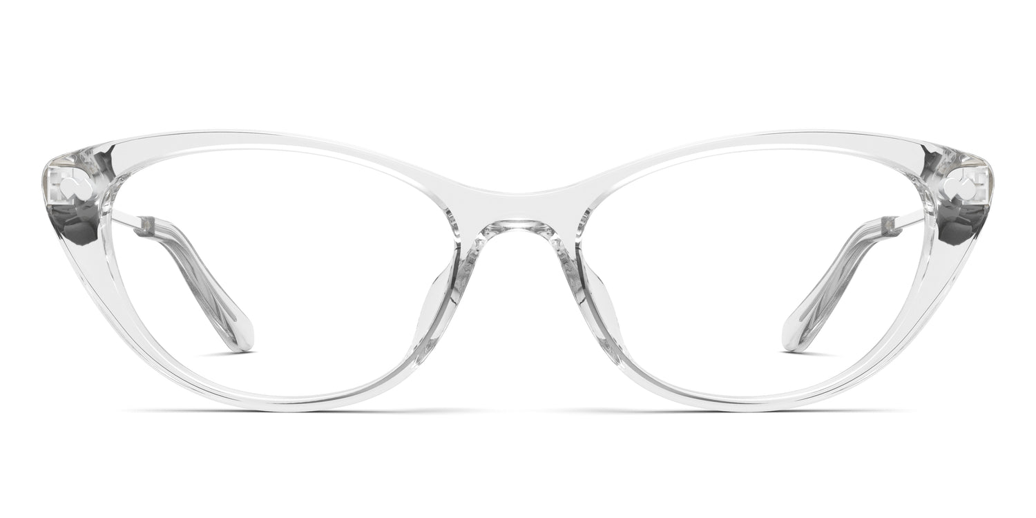 Crystal Clear Acetate Silver Metal