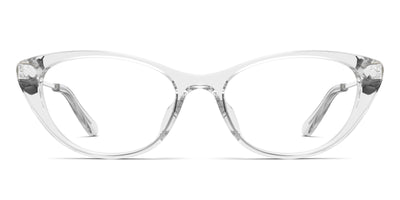 Crystal Clear Acetate Silver Metal