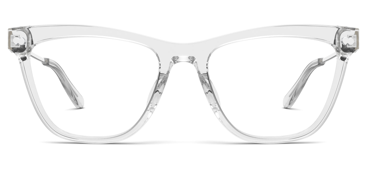 Crystal Clear Acetate Silver Metal