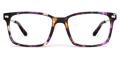 Purple Confetti Tortoise Acetate Gold Metal