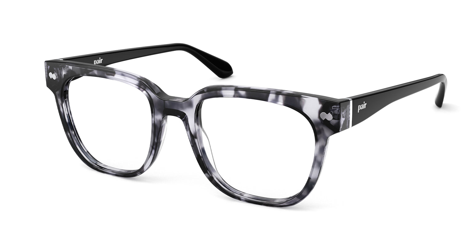 Gray Tortoise with Black and Silver