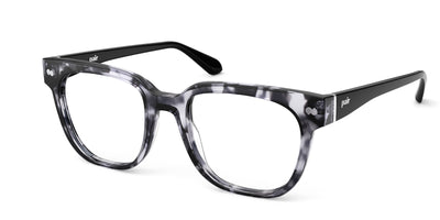 Gray Tortoise with Black and Silver