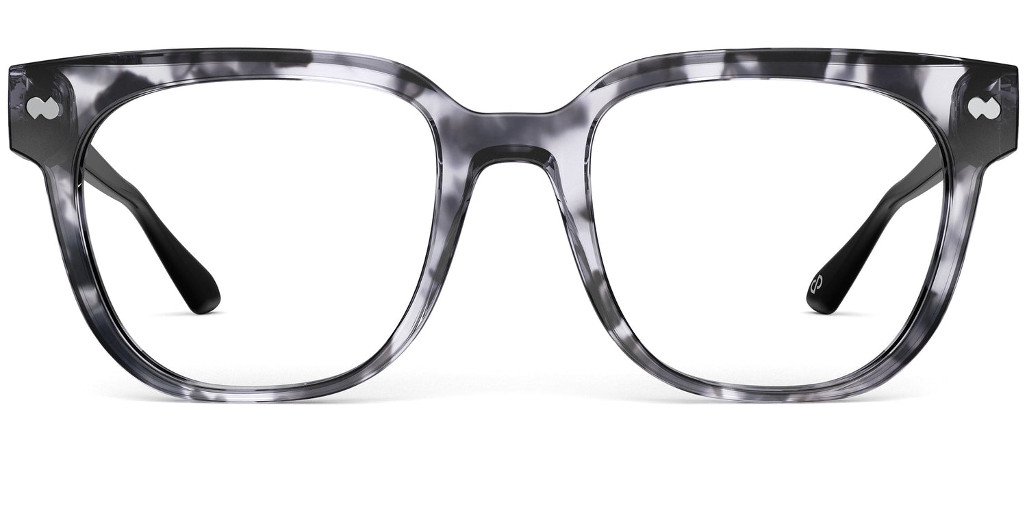Gray Tortoise with Black and Silver