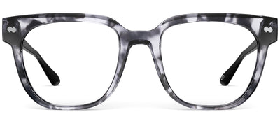Gray Tortoise with Black and Silver