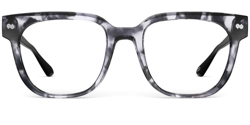 Gray Tortoise with Black and Silver