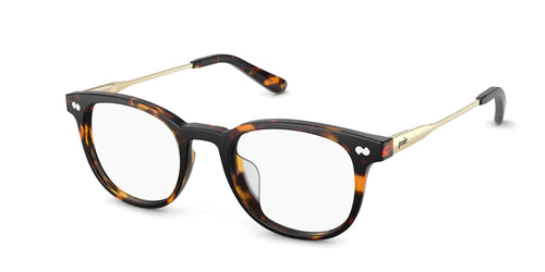 Tortoise Acetate Gold Metal